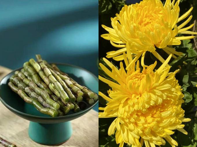 Dendrobium & Chrysanthemum Herbal Jelly – Refreshing Wellness Treat