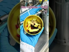 Súp gà với hạt và Lingzhi